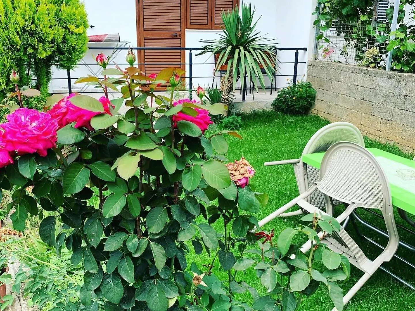 Pogradec Lake Apartments