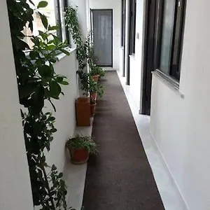Aza Pogradec